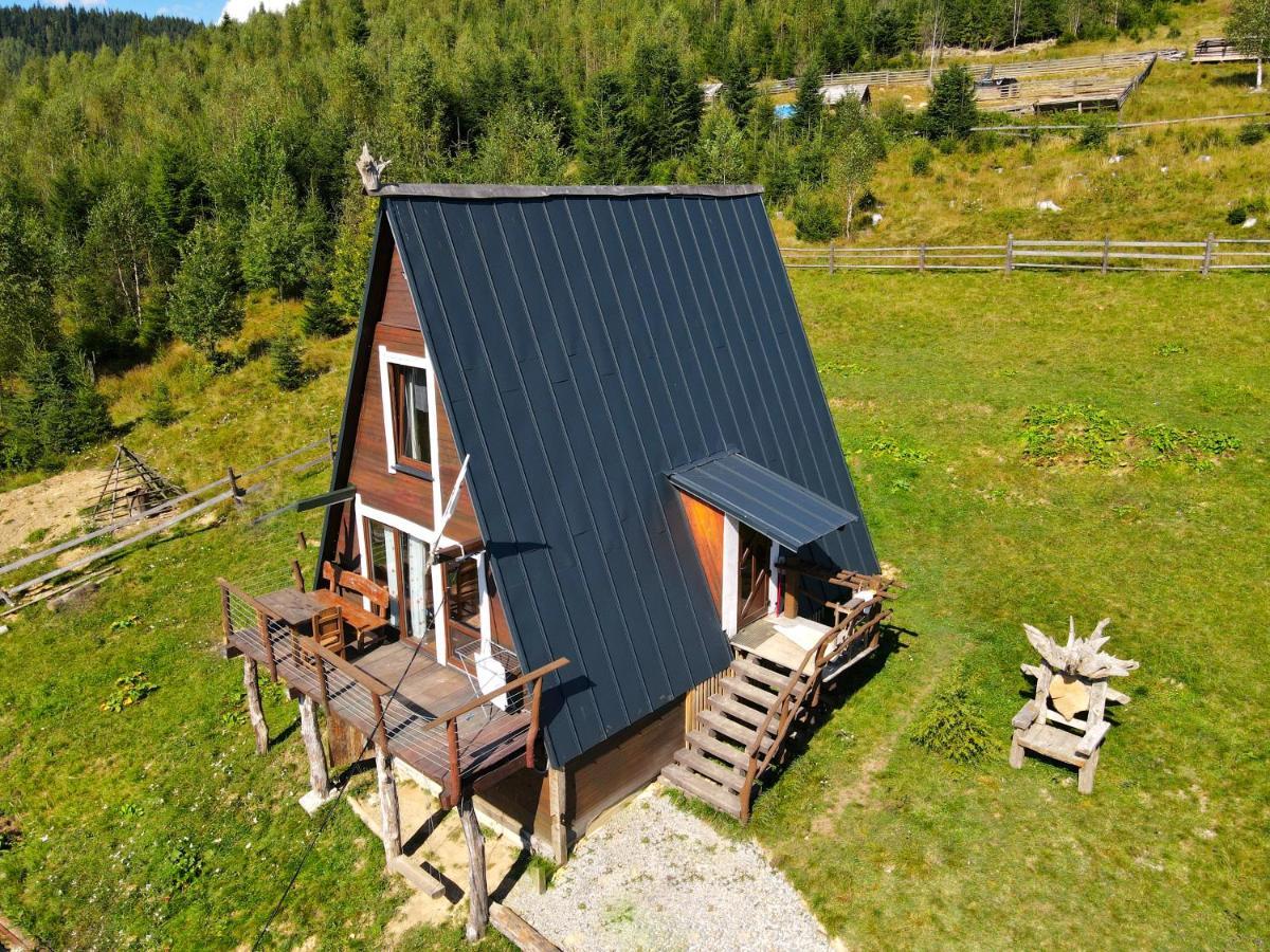 Апартаменти Oak House Поляниця Екстер'єр фото